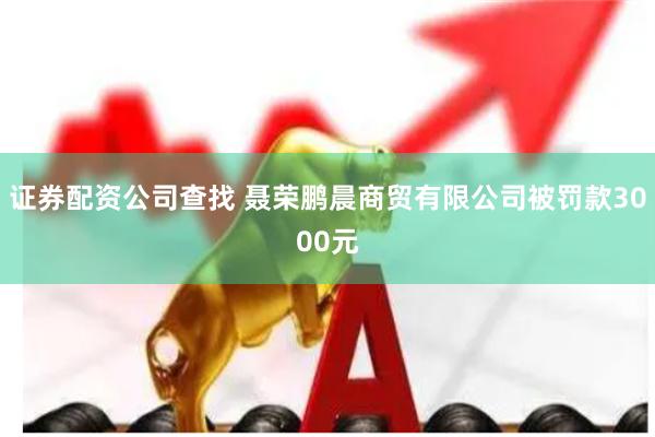 证券配资公司查找 聂荣鹏晨商贸有限公司被罚款3000元