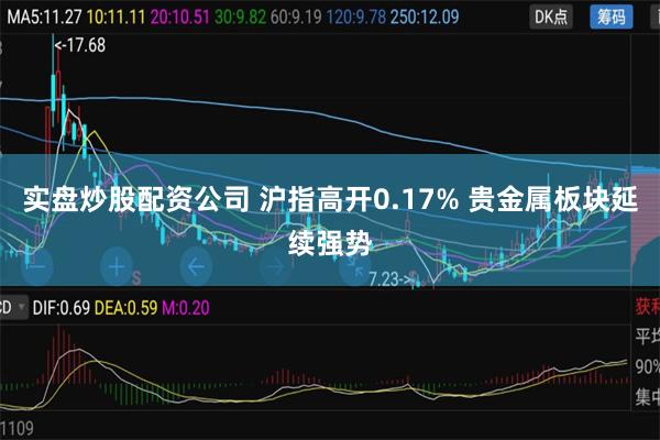 实盘炒股配资公司 沪指高开0.17% 贵金属板块延续强势