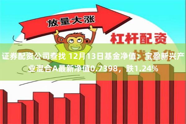 证券配资公司查找 12月13日基金净值：宝盈新兴产业混合A最新净值0.7398，跌1.24%