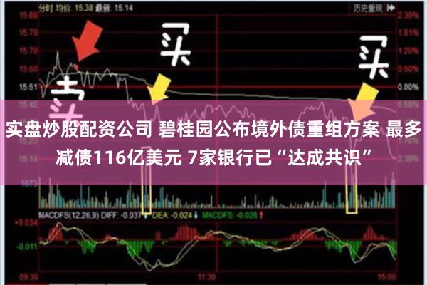 实盘炒股配资公司 碧桂园公布境外债重组方案 最多减债116亿美元 7家银行已“达成共识”